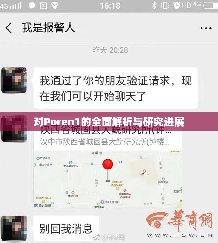 对Poren1的全面解析与研究进展