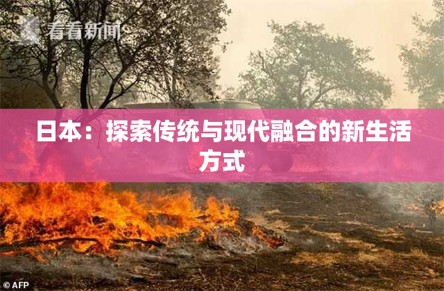 日本：探索传统与现代融合的新生活方式