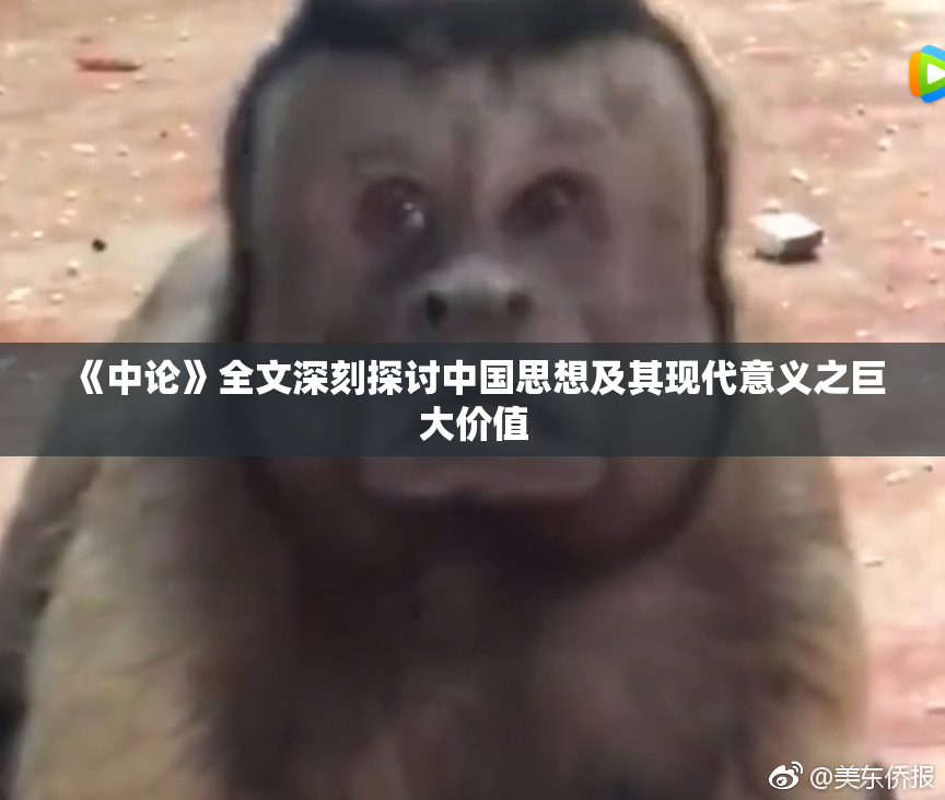 《中论》全文深刻探讨中国思想及其现代意义之巨大价值