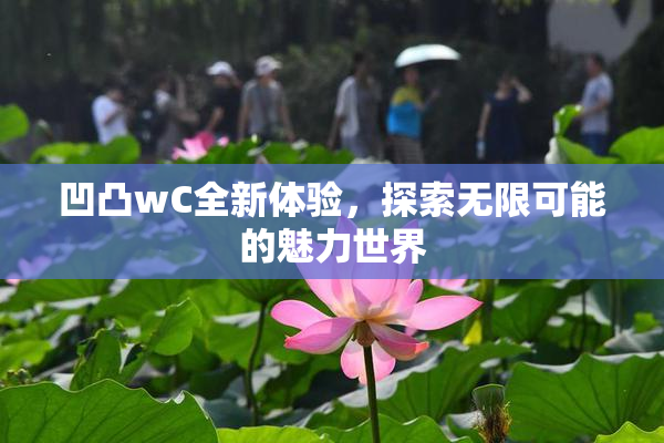 凹凸wC全新体验，探索无限可能的魅力世界