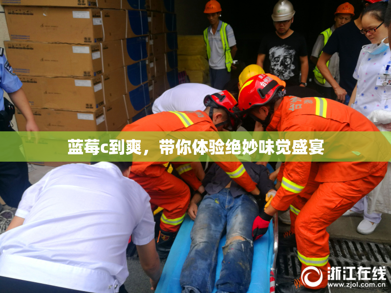 蓝莓c到爽，带你体验绝妙味觉盛宴