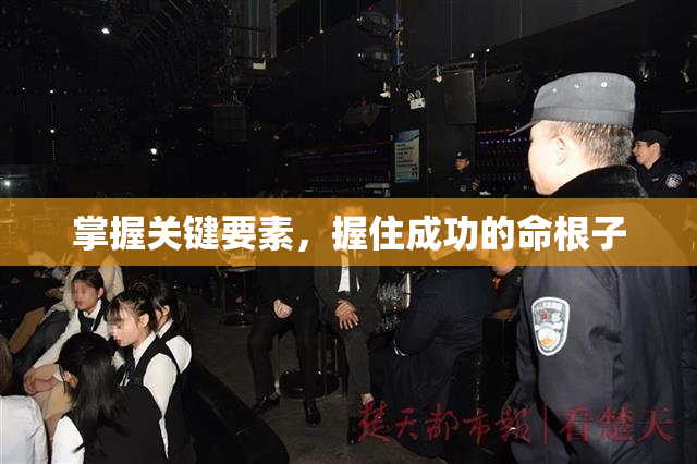 掌握关键要素，握住成功的命根子