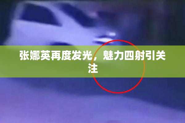 张娜英再度发光，魅力四射引关注