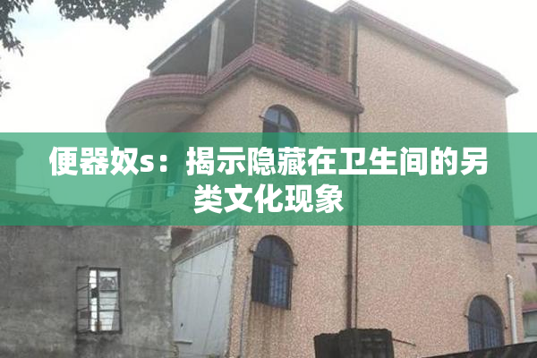 便器奴s：揭示隐藏在卫生间的另类文化现象