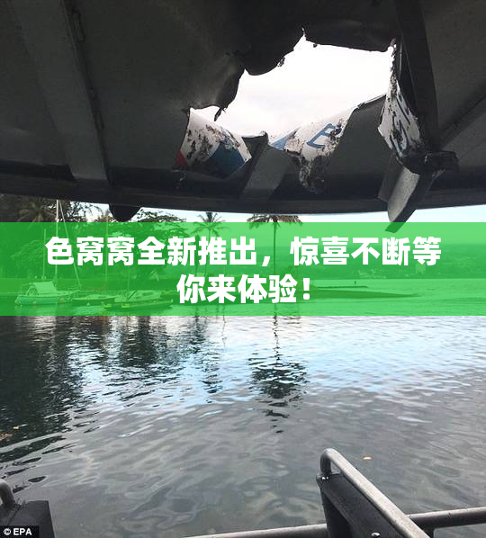 色窝窝全新推出，惊喜不断等你来体验！