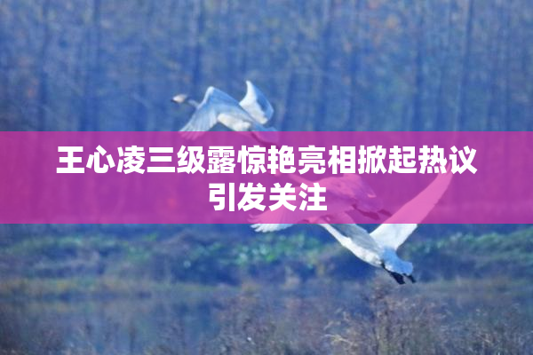 王心凌三级露惊艳亮相掀起热议引发关注