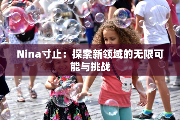 Nina寸止：探索新领域的无限可能与挑战