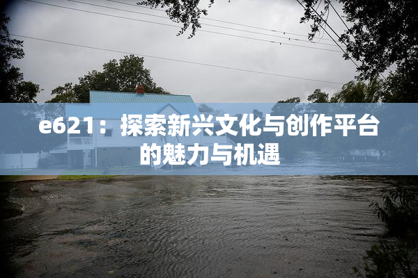 e621：探索新兴文化与创作平台的魅力与机遇