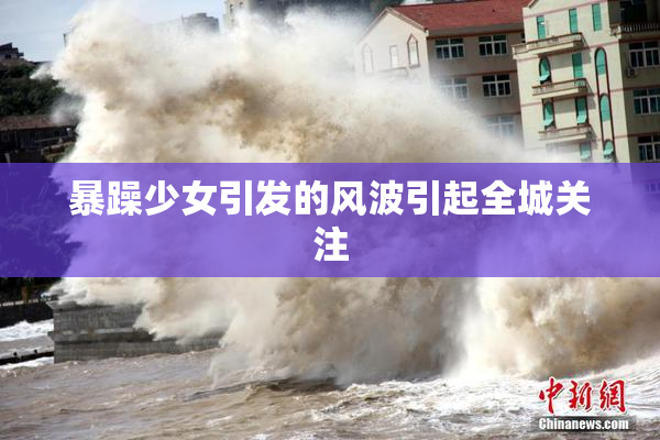 暴躁少女引发的风波引起全城关注