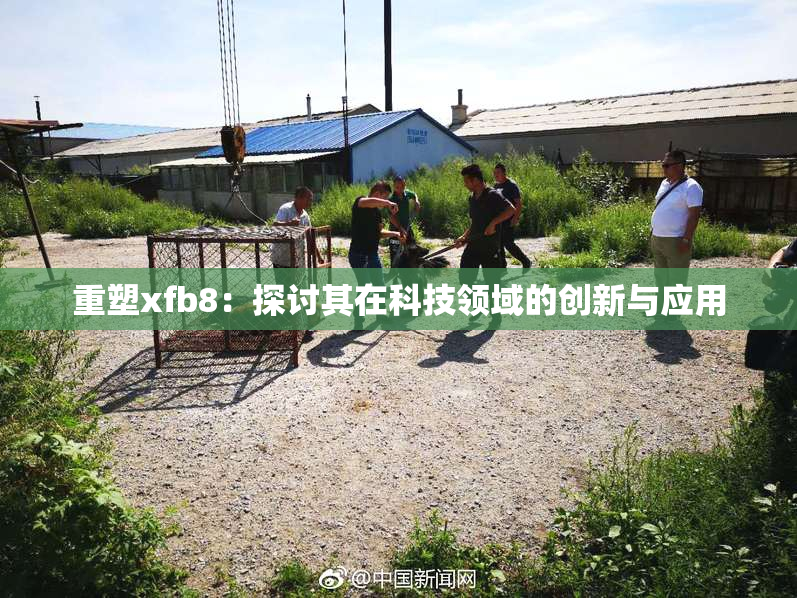 重塑xfb8：探讨其在科技领域的创新与应用