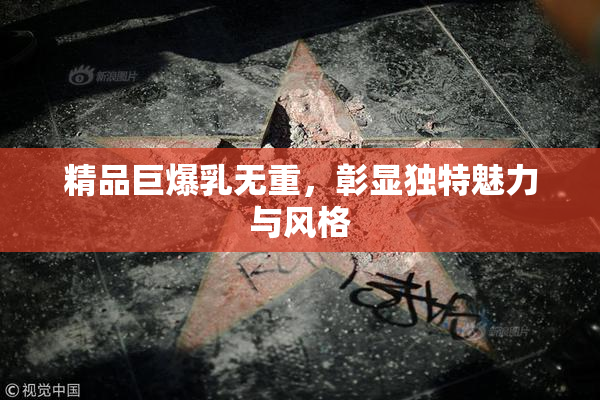 精品巨爆乳无重，彰显独特魅力与风格
