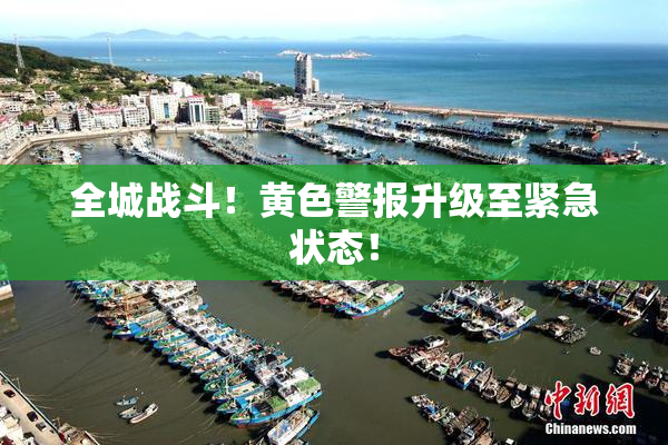 全城战斗！黄色警报升级至紧急状态！