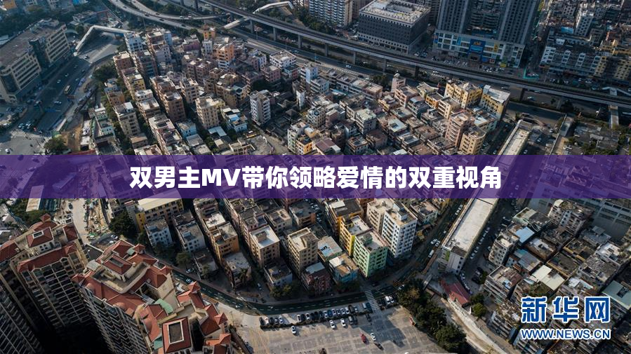 双男主MV带你领略爱情的双重视角