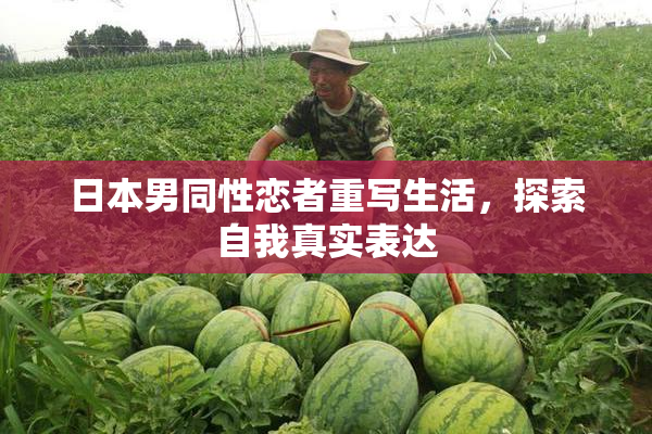 日本男同性恋者重写生活，探索自我真实表达