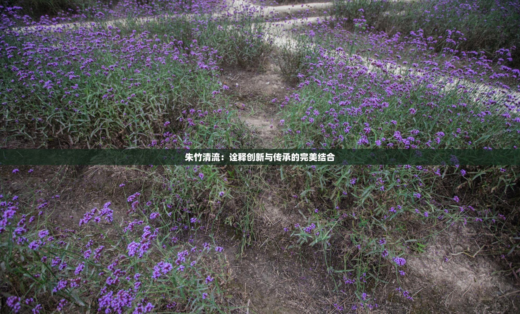 朱竹清流：诠释创新与传承的完美结合