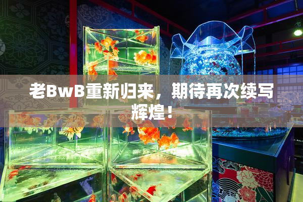 老BwB重新归来，期待再次续写辉煌！