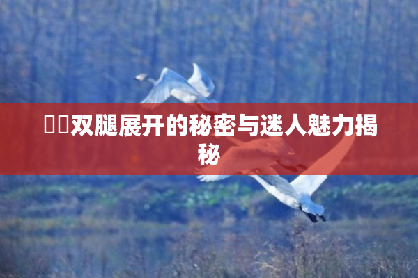妺妺双腿展开的秘密与迷人魅力揭秘
