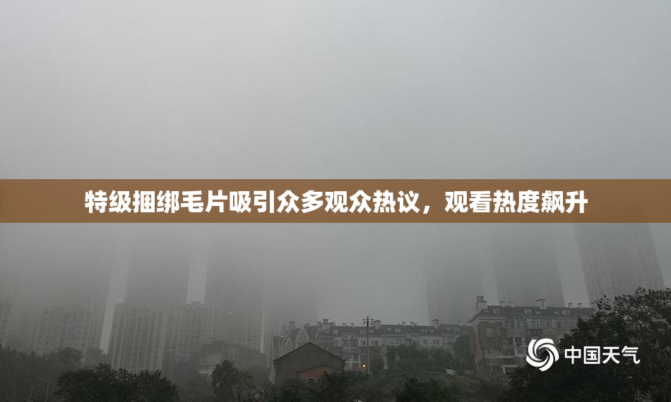 特级捆绑毛片吸引众多观众热议，观看热度飙升