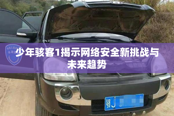 少年骇客1揭示网络安全新挑战与未来趋势