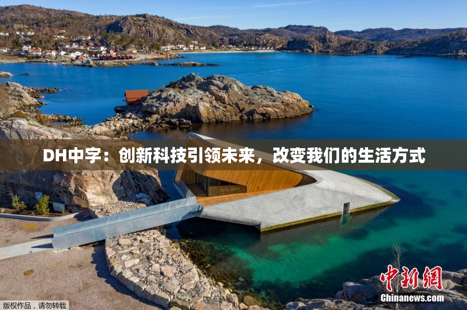 DH中字：创新科技引领未来，改变我们的生活方式