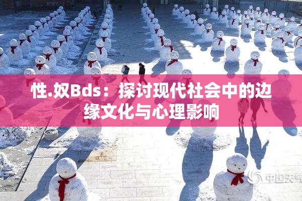 性.奴Bds：探讨现代社会中的边缘文化与心理影响