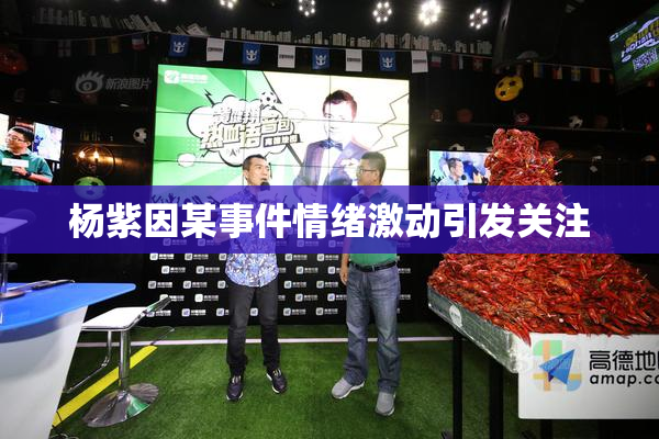 杨紫因某事件情绪激动引发关注