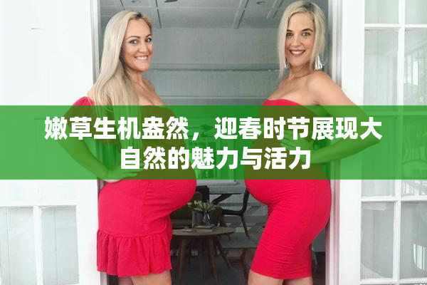 嫩草生机盎然，迎春时节展现大自然的魅力与活力