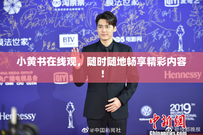 小黄书在线观，随时随地畅享精彩内容！