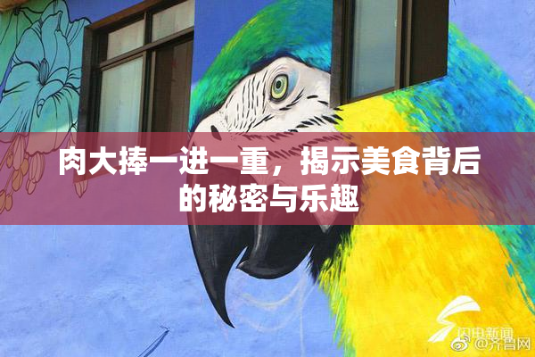 肉大捧一进一重，揭示美食背后的秘密与乐趣