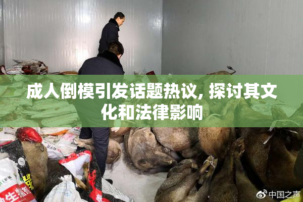 成人倒模引发话题热议, 探讨其文化和法律影响