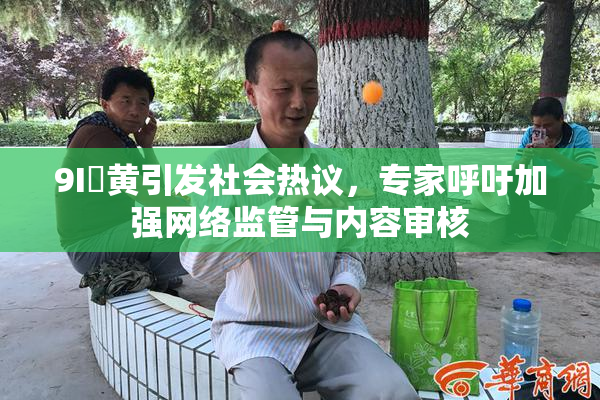 9I婬黄引发社会热议，专家呼吁加强网络监管与内容审核