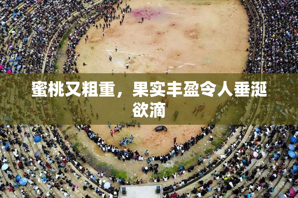 蜜桃又粗重，果实丰盈令人垂涎欲滴