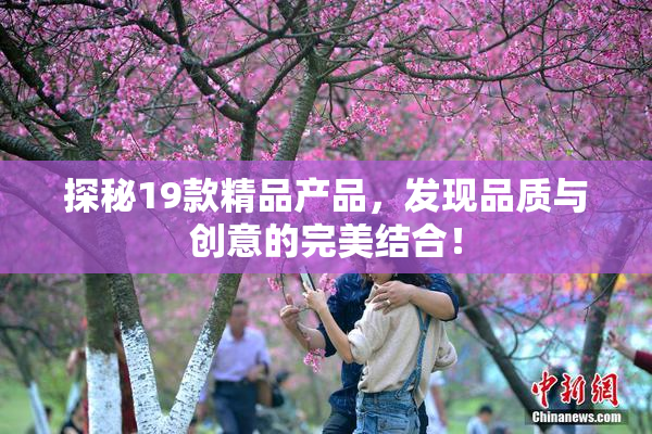 探秘19款精品产品，发现品质与创意的完美结合！