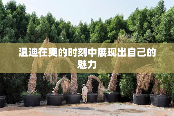 温迪在爽的时刻中展现出自己的魅力