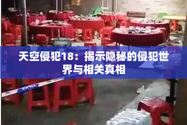 天空侵犯18：揭示隐秘的侵犯世界与相关真相
