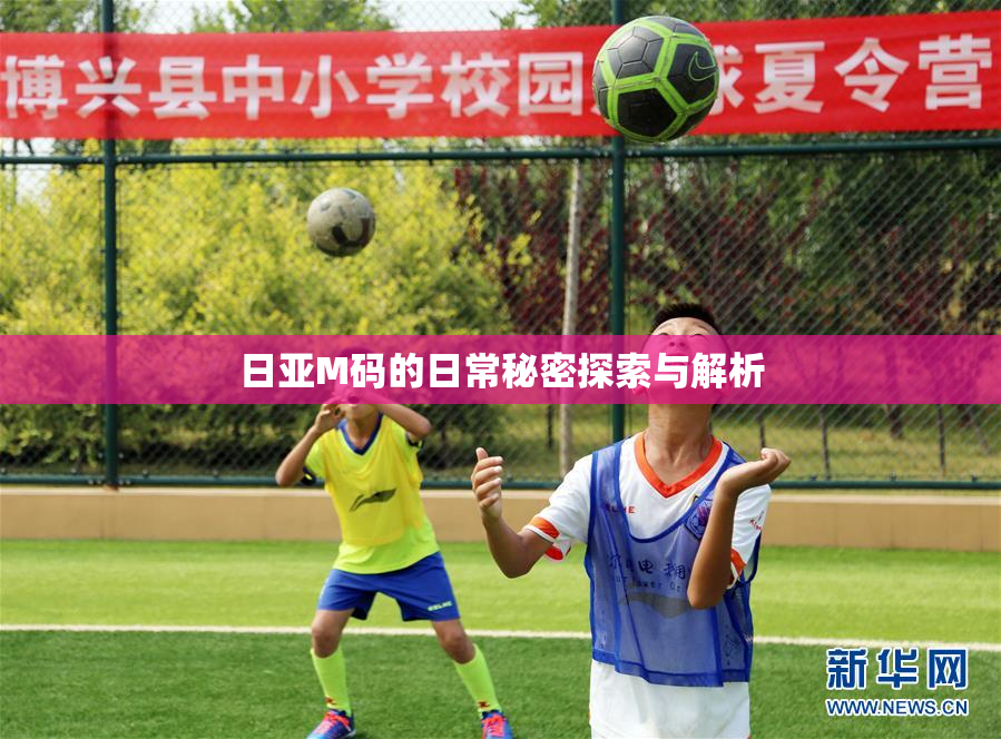 日亚M码的日常秘密探索与解析