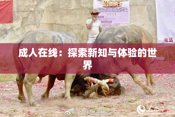 成人在线：探索新知与体验的世界