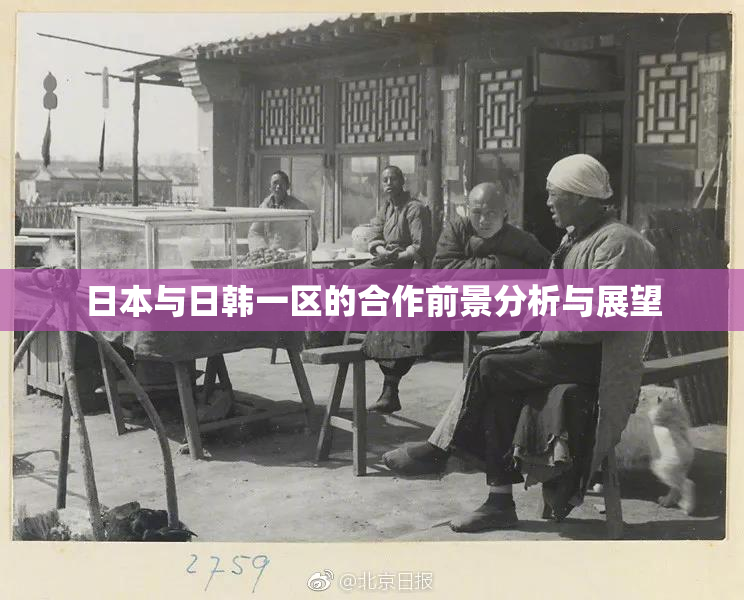 日本与日韩一区的合作前景分析与展望