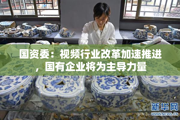 国资委：视频行业改革加速推进，国有企业将为主导力量