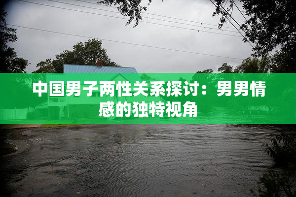中国男子两性关系探讨：男男情感的独特视角