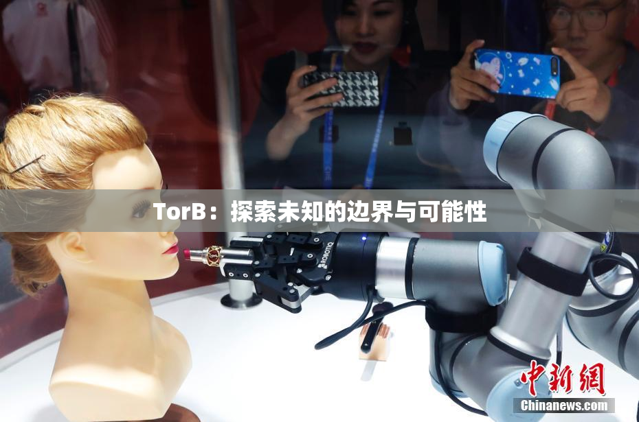 TorB：探索未知的边界与可能性