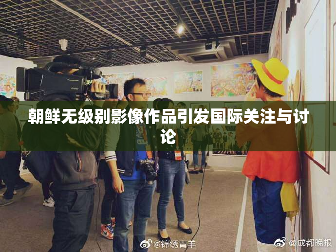 朝鲜无级别影像作品引发国际关注与讨论