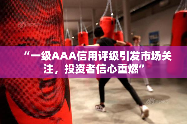 “一级AAA信用评级引发市场关注，投资者信心重燃”