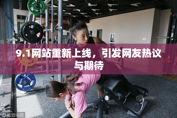9.1网站重新上线，引发网友热议与期待