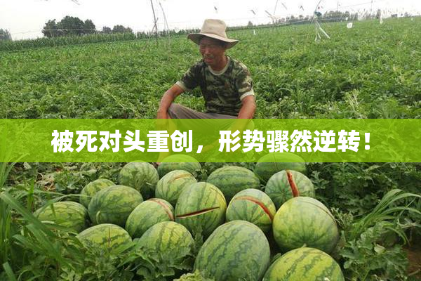 被死对头重创，形势骤然逆转！