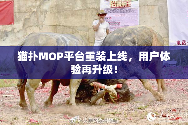 猫扑MOP平台重装上线，用户体验再升级！