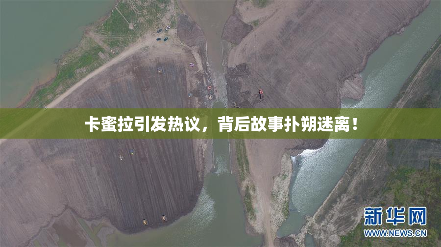 卡蜜拉引发热议，背后故事扑朔迷离！