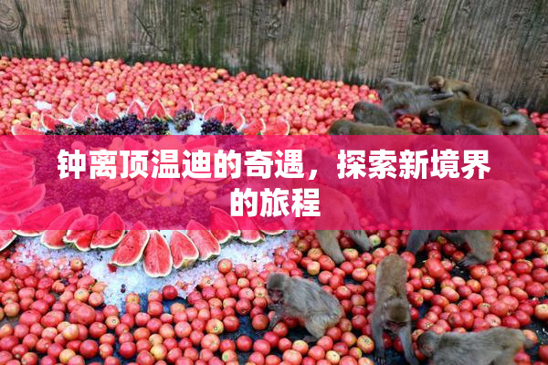钟离顶温迪的奇遇，探索新境界的旅程