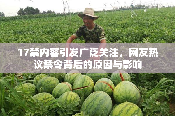 17禁内容引发广泛关注，网友热议禁令背后的原因与影响