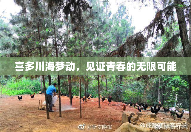 喜多川海梦动，见证青春的无限可能